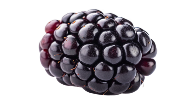 Close up of fresh blackberry fruit isolated on black background healthy eating and antioxidant benefits