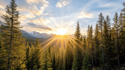 Golden sunlight beams through tall evergreen trees, illuminating serene mountain landscape