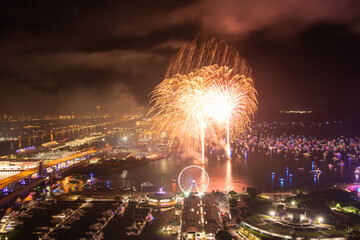 Miami Night Celebration with Fireworks Over Bayfront Park and Marina