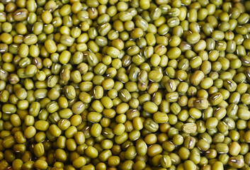 close up of green bean for background