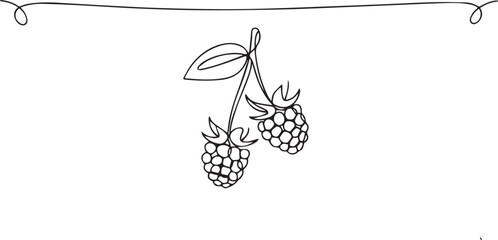 blackberry fruits one line concept