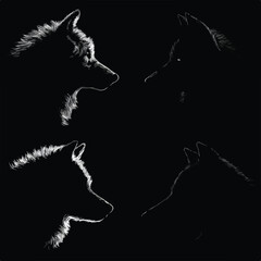 Fototapeta premium wolf head silhouette set, Black & White silhouette set