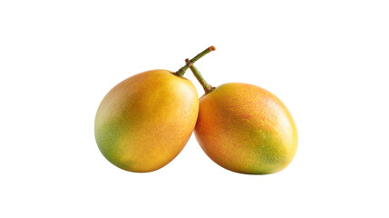 Two Ripe Mangoes on a Branch on Transparent Background
