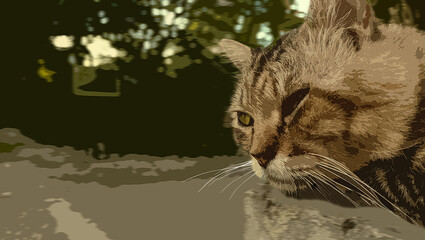 A sleepy adult cat on a large rock face against a soft abstract background.
