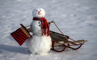 Snowman on winter card. Playful snowman outdoors. Winter holiday. Cute snowman in snow. Christmas...