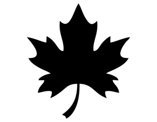 leaves icon vector design