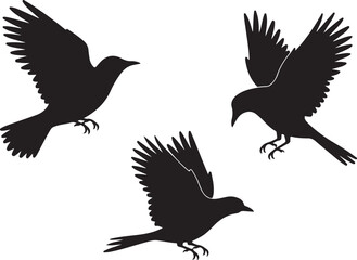 Obraz premium Flying and Perching Bird Silhouette Set Crow and Sparrow Vector Silhouettes Bundle Black Bird Clipart Collection – Flying & Branch Poses