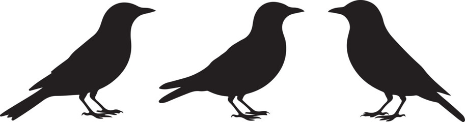 Flying and Perching Bird Silhouette Set
Crow and Sparrow Vector Silhouettes Bundle
Black Bird Clipart Collection – Flying & Branch Poses