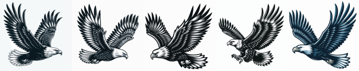 vector image of an eagle on a white background