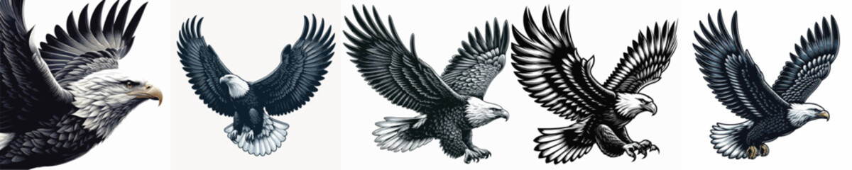 vector image of an eagle on a white background