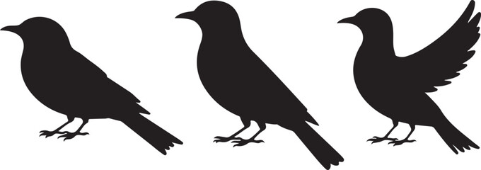 Flying and Perching Bird Silhouette Set
Crow and Sparrow Vector Silhouettes Bundle
Black Bird Clipart Collection – Flying & Branch Poses