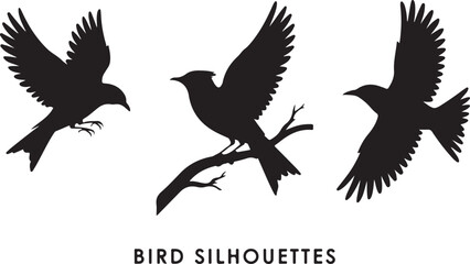 Flying and Perching Bird Silhouette Set
Crow and Sparrow Vector Silhouettes Bundle
Black Bird Clipart Collection – Flying & Branch Poses