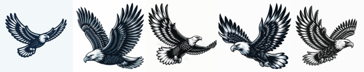 vector image of an eagle on a white background