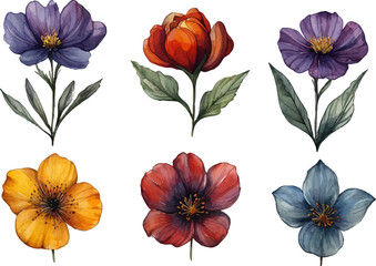 set of colorful flowers