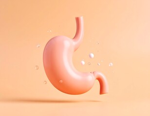 3D Stomach, Floating
