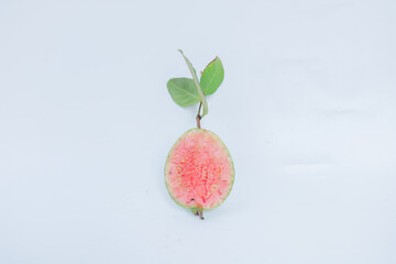 Fresh pink guava fruit (Psidium guajava) partially eaten, still attached to a twig with green...