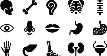 Illustration of human body parts and organs in black and white icons set