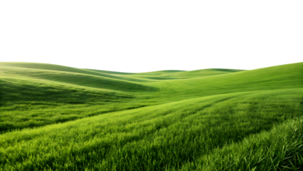 Rolling green hills of lush grass under a dark sky with soft light