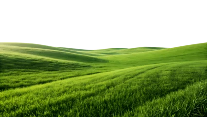 Keuken achterwand Gras Rolling green hills of lush grass under a dark sky with soft light  © Noyon