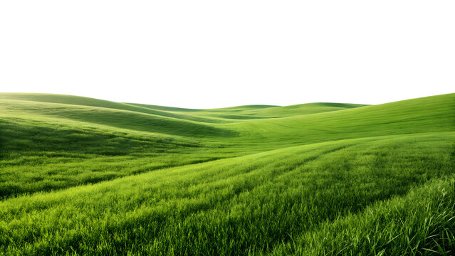 Rolling green hills of lush grass under a dark sky with soft light