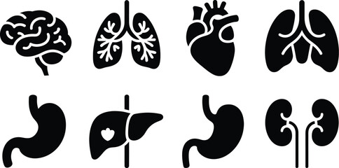 Illustration of human internal organs in black silhouette on white background