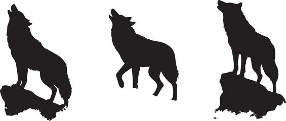 "Lone Howl: The Power of a Wolf Silhouette"
"Wild Spirit: Wolf in Shadow"
"Moonlit Predator: Silhouette of the Wild Wolf"