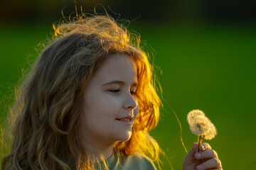 The child blows a dandelion. Kid play with dandelions on the spring field. The child dreams. Kid...