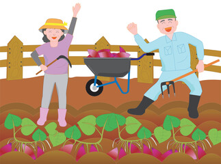 高齢者夫婦の楽しいサツマイモの家庭菜園