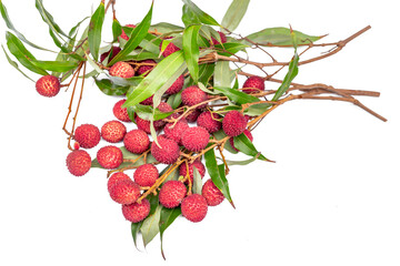 Fresh Sweet Lychee fruits with leaves