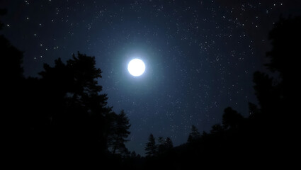 A radiant full moon shines brightly over a dense forest, surrounded by twinkling stars. The scene evokes a tranquil and mysterious atmosphere during the night.