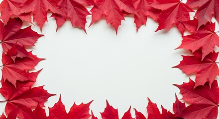 Obraz premium Red Maple Leaves Framing White Background Space for Text or Design