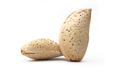 Two whole raw in-shell almonds, a healthy nutritious snack food, isolated on white background.