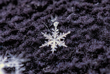 natural snowflakes on black background