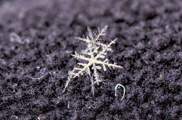 natural snowflakes on black background