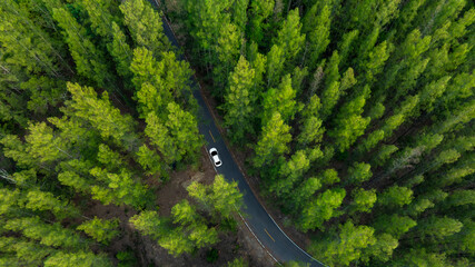 Aerial view of dark green forest road and white electric car Natural landscape and elevated roads Adventure travel and transportation and environmental protection concept