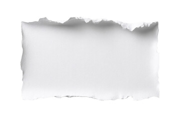 A torn piece of paper with a white background
