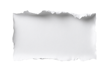 A torn piece of paper with a white background