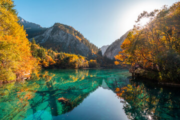 Autumn landscape in beautiful colorful nature scenic view at five flower lake with water reflection in jiuzhaigou national park
