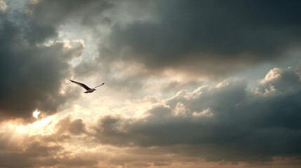Obraz premium Bird flying freely against dramatic cloudy sky with sunlight breaking through, creating peaceful and inspiring scene