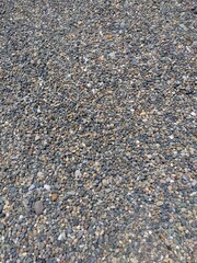 砂利の庭のテクスチャー