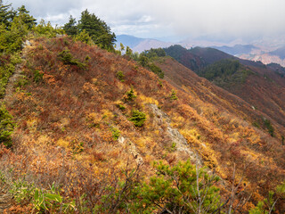 晩秋の平ヶ岳山道