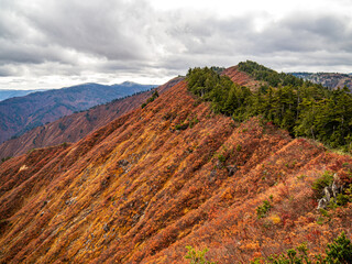 晩秋の平ヶ岳山道