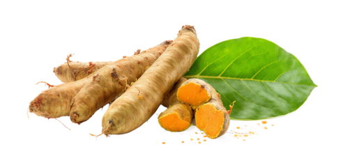 A caterpillar enjoying a healthy vegetable snack on a green leaf