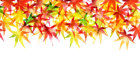 紅葉　もみじ　秋　背景