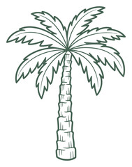 Fototapeta premium Detailed Line Art Illustration of a Palm Tree