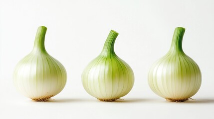 Obraz premium Three small onions in a row against white