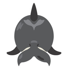 背後から見たシャチのイラスト