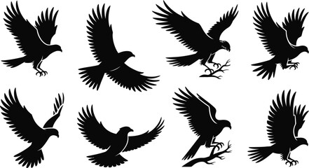 Obraz premium Black Silhouette Hawks Birds Flying Landing Set vector