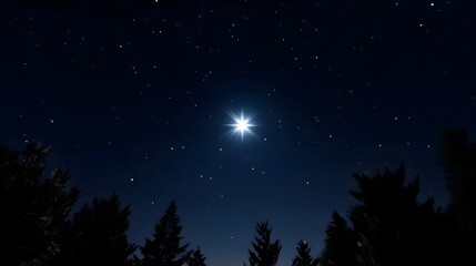 Naklejka premium Starry night sky with a bright celestial body shining above a silhouetted forest landscape.