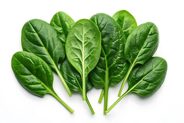fresh spinach leaves